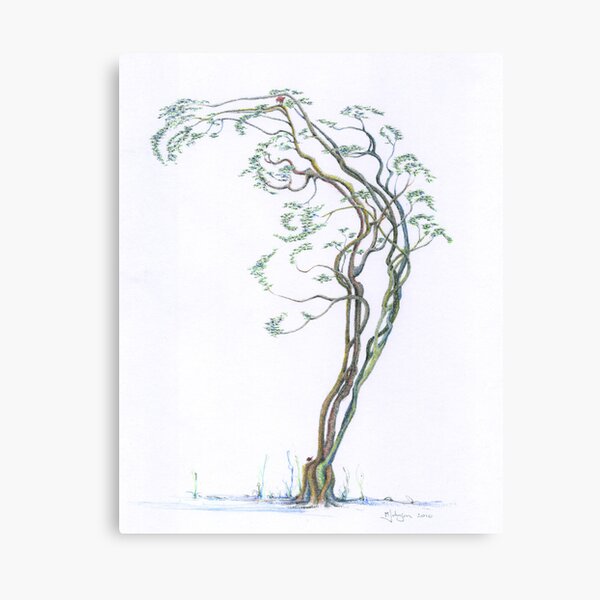 Arched Dancer coloured Canvas Print
