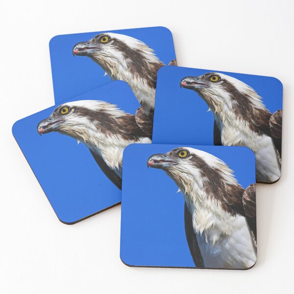 Item preview, Breakfast Scraps designed and sold by Michiale.