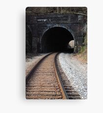 Henryton Tunnel Canvas Print