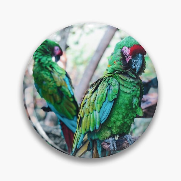 Item preview, Mexico - Macaws designed and sold by themayyoung.