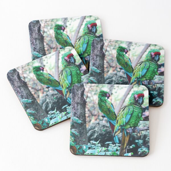 Item preview, Mexico - Macaws designed and sold by themayyoung.