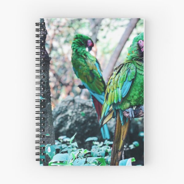 Item preview, Mexico - Macaws designed and sold by themayyoung.