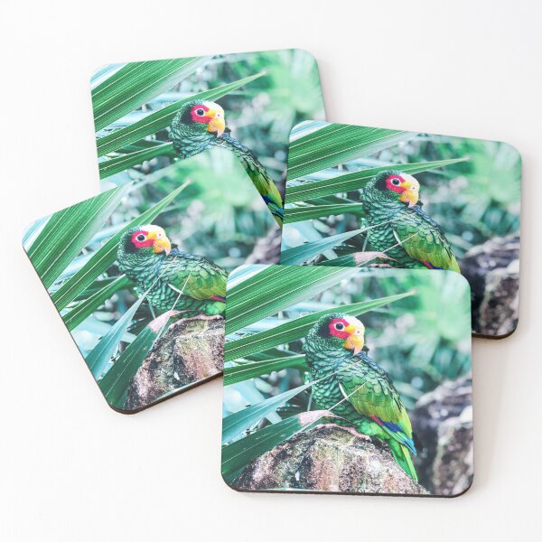 Item preview, Mexico - Tropical Bird designed and sold by themayyoung.