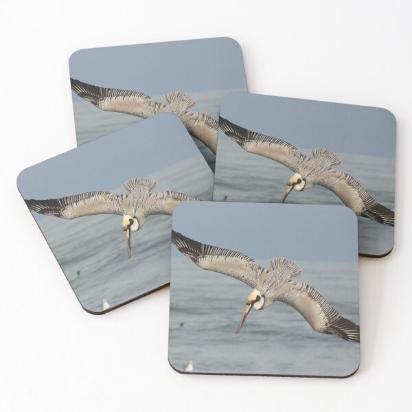 Item preview, Pelican Plunge designed and sold by Autumn Seas Photography.
