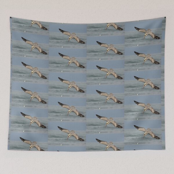 Item preview, Pelican Plunge designed and sold by Autumn Seas Photography.
