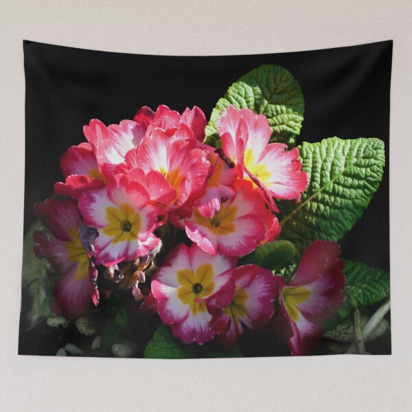 Item preview, Primrose designed and sold by ScenicViewPics.