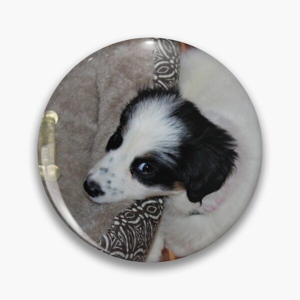 Item preview, Skipper Resting on Her Bed designed and sold by banditandkoko.