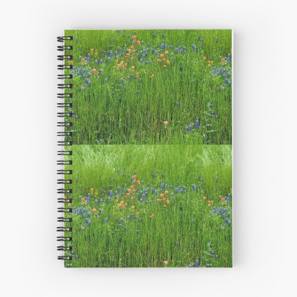 Item preview, Bluebonnets and Paintbrushes designed and sold by DancingCacti.