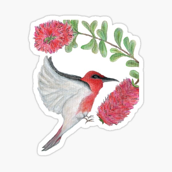 Item preview, Scarlet honeyeater with grey background  designed and sold by AussieLogic.