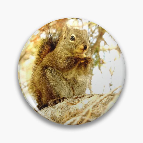Artikelvorschau, Eichhörnchen in einem Baum entworfen und verkauft von Alex Baron.