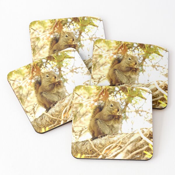 Item preview, Squirrel in a Tree designed and sold by Alex Baron.
