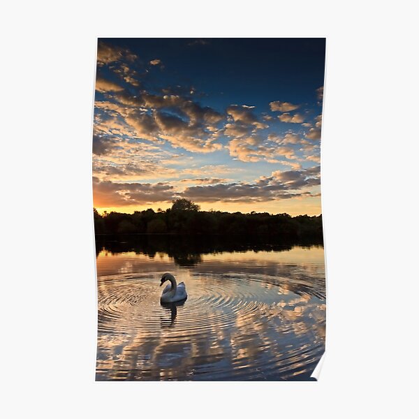 swan lake Poster