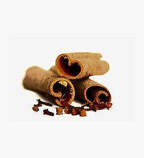 Cinnamon Sticks Photographic Print