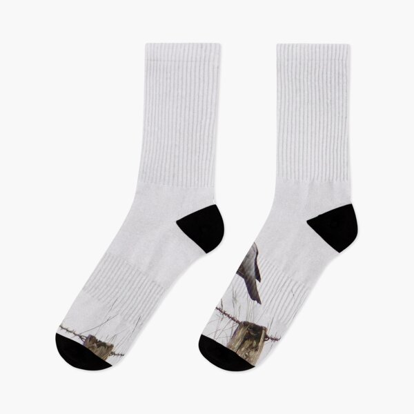 Item preview, Wood Pigeon - New Slains Castle - Cruden Bay, Aberdeenshire, Scotland, UK designed and sold by Yannik Hay.