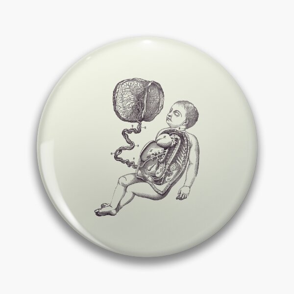 Item preview, Baby and Placenta - Gut Diagram - Anatomy Print 2 designed and sold by VAposters.