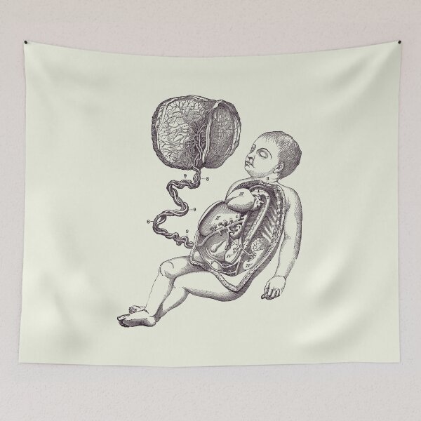 Item preview, Baby and Placenta - Gut Diagram - Anatomy Print 2 designed and sold by VAposters.
