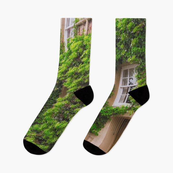 Item preview, Ivy Covered Wall, St-Andrews, UK designed and sold by Yannik Hay.