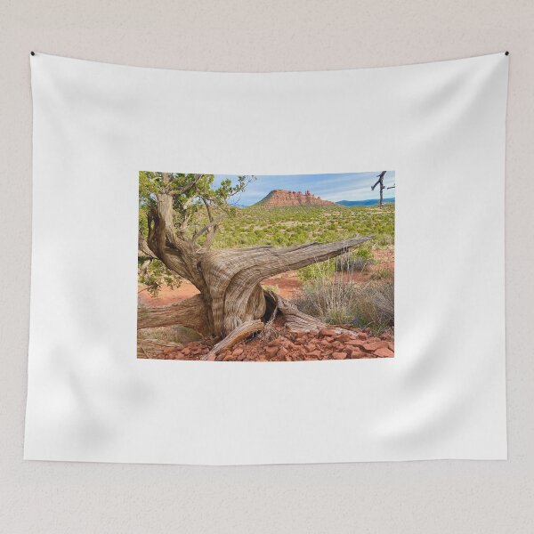 Item preview, Ancient Echoes 3 designed and sold by SphericSenseS.