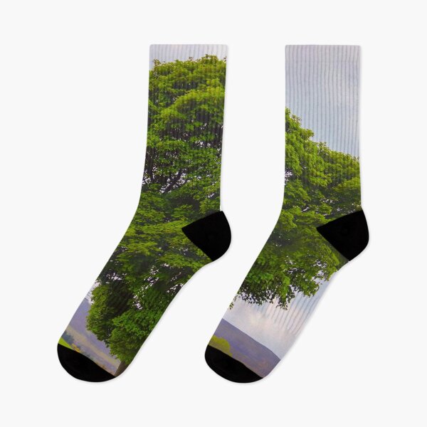 Item preview, Yew Tree, Aberdeenshire, Scotland, UK designed and sold by Yannik Hay.