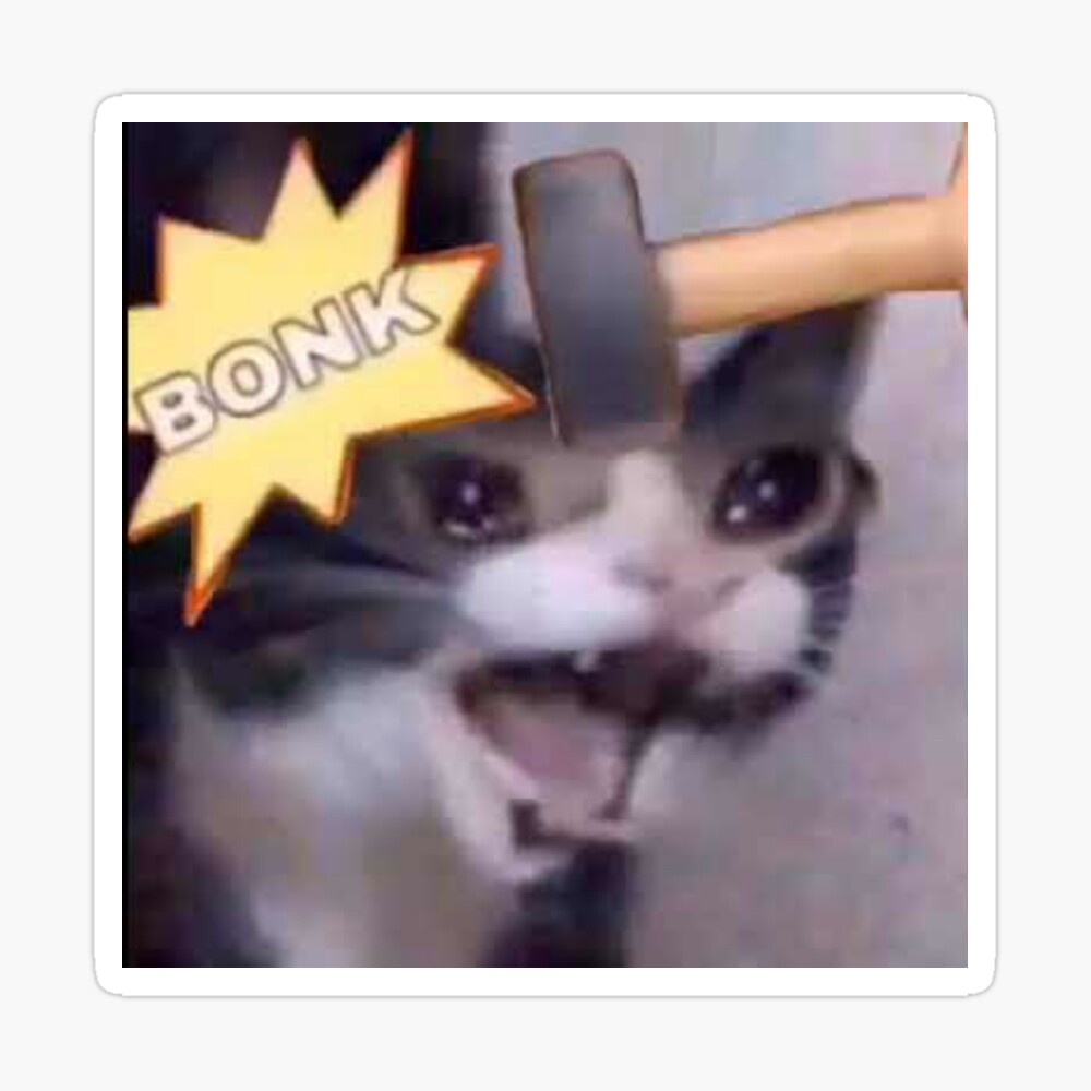 Bonk cat