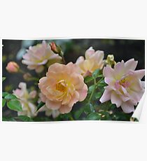 Pale Flowers Poster