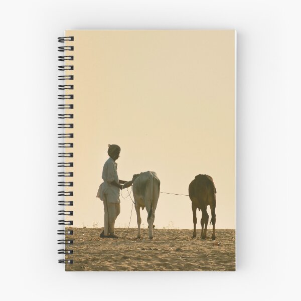 Item preview, Pushkar Cattle designed and sold by photograham.