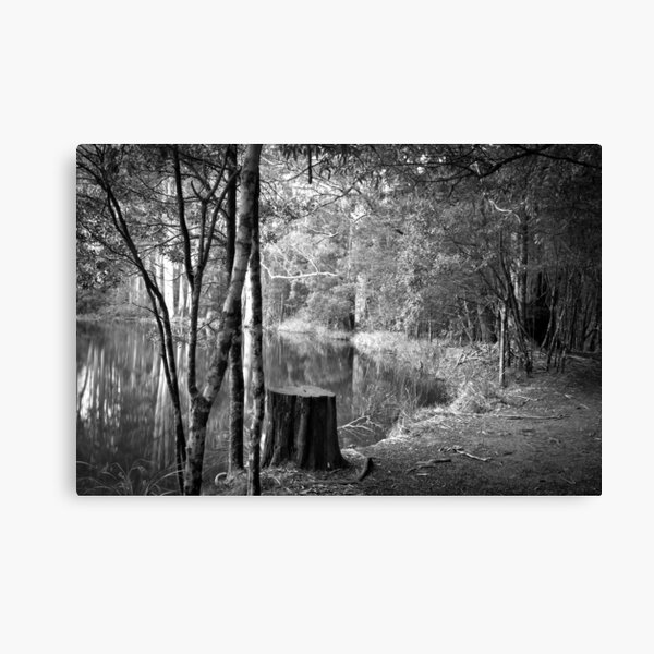Item preview, Sanatorium Lake 2 designed and sold by Christine Wilson.