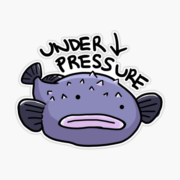 blob fish under pressure｜TikTok Search