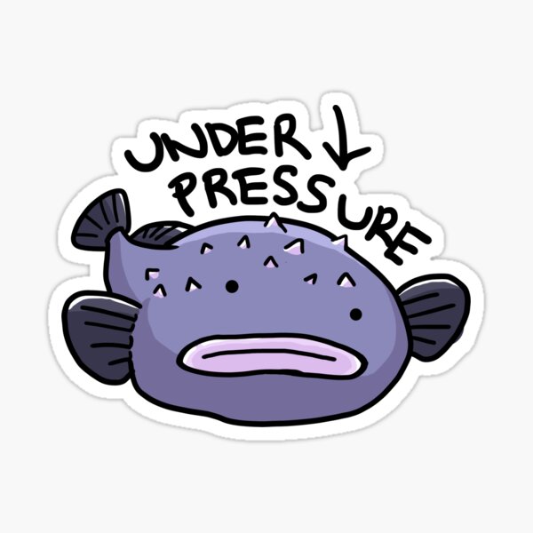 Bob the Blobfish (when under pressure) Sticker for Sale by Anlon Zhu