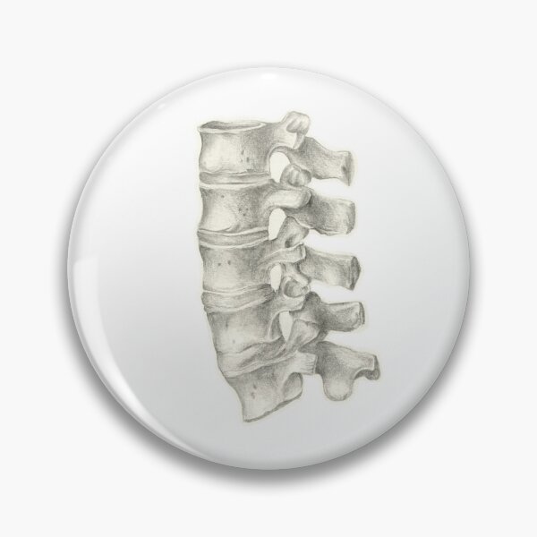 Item preview, Vertebrae Anatomy Drawing designed and sold by aleksandrax98.