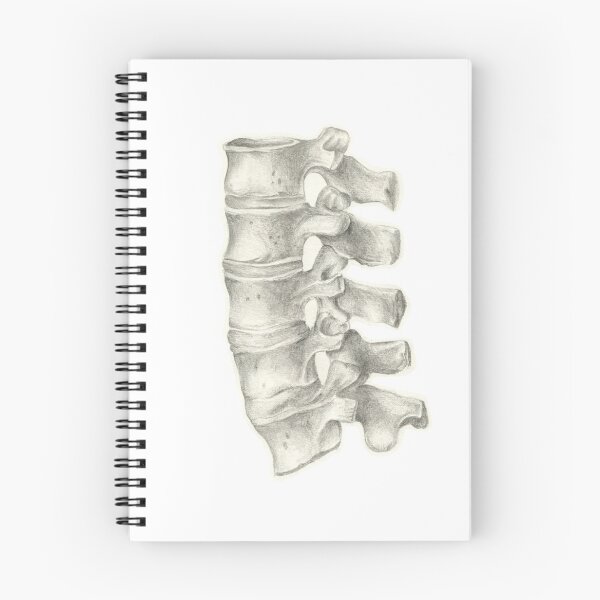 Item preview, Vertebrae Anatomy Drawing designed and sold by aleksandrax98.