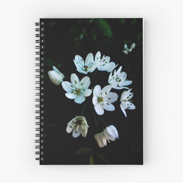Item preview, White Flower-burst designed and sold by Capuletdesigns.