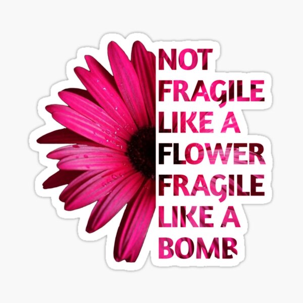 Not Fragile Like A Flower Fragile Like A Bomb  Sticker