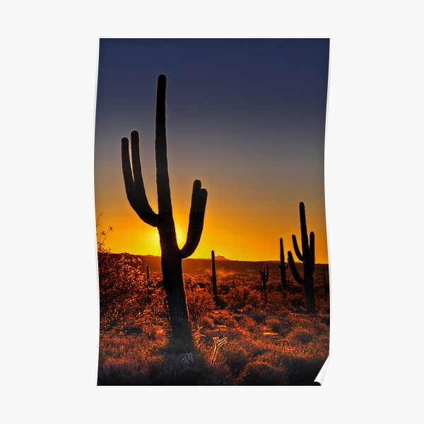 A Saguaro Sunrise Poster