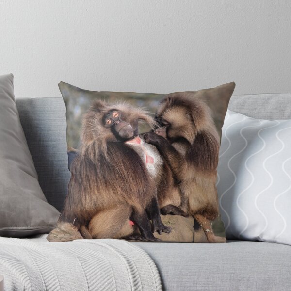 Item preview, GELADA BABOONS designed and sold by Andrew Hocking.