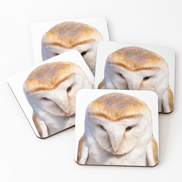 Item preview, Angelic looking Barn owl designed and sold by Dalyndigital Photography.