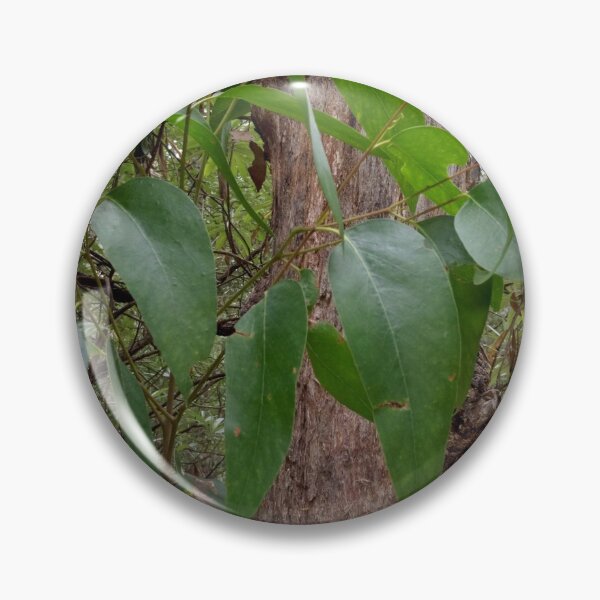 Item preview, Eucalypt Forest designed and sold by Annette Griffin.