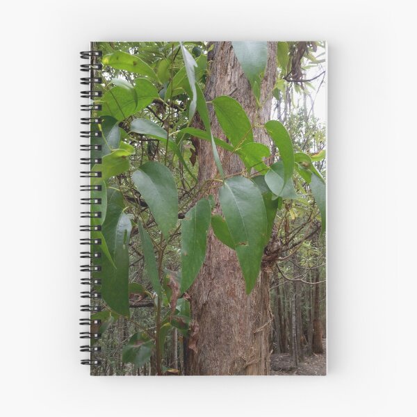 Item preview, Eucalypt Forest designed and sold by Annette Griffin.