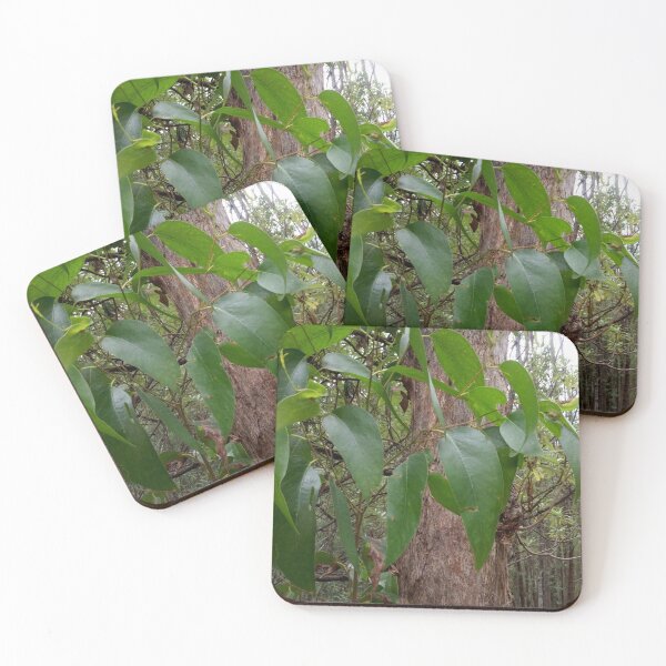 Item preview, Eucalypt Forest designed and sold by Annette Griffin.