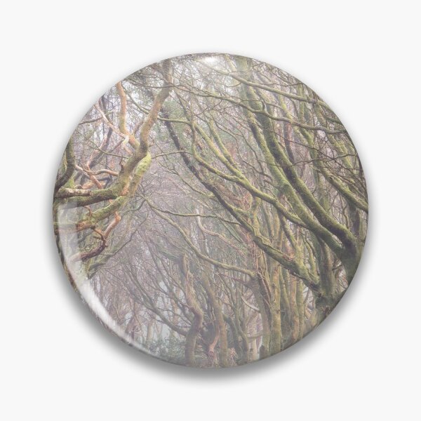 Item preview, ENCHANTED designed and sold by Andrew Hocking.