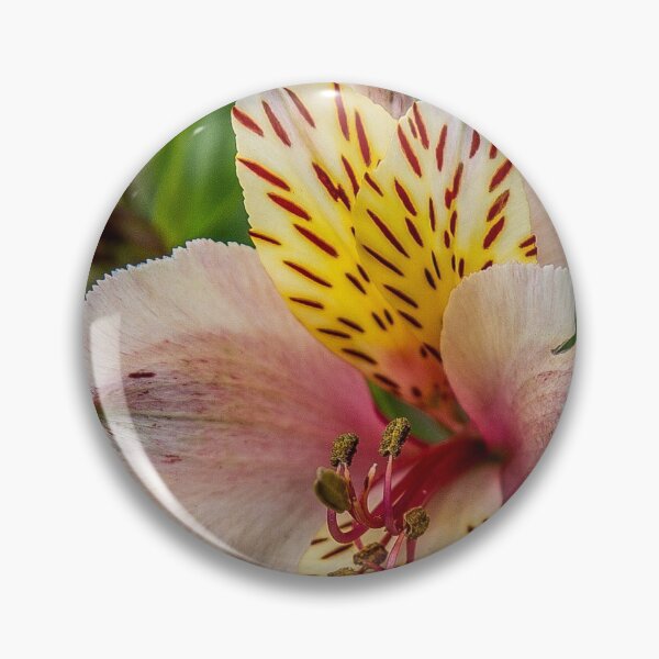 Item preview, Lillies designed and sold by henryharrison.