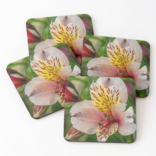 Item preview, Lillies designed and sold by henryharrison.