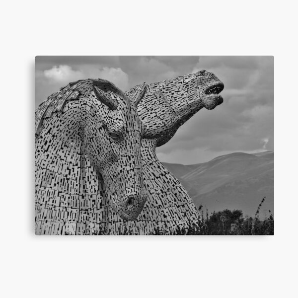Item preview, Falkirk Kelpies Black And White designed and sold by MoAndPaul-.