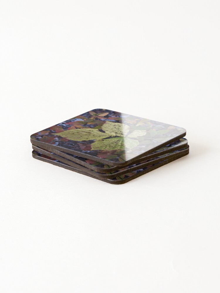 Thumbnail 4 of 5, Coasters (Set of 4), True Colors designed and sold by RVogler.