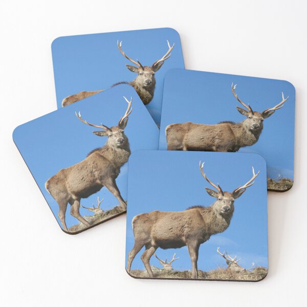 Item preview, Stag designed and sold by beavo.