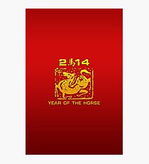 Chinese New Year of The Horse 2014 Photographic Print