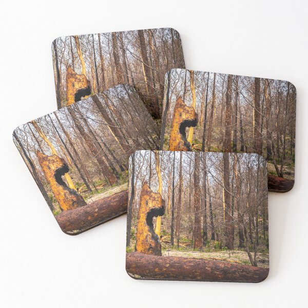 Item preview, Burnt trunk designed and sold by Teniche.