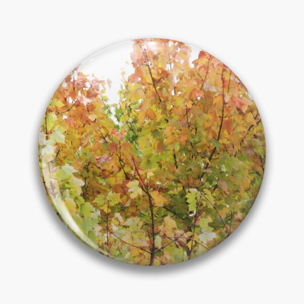 Item preview, A Wash Of Yellow Maples designed and sold by RVogler.