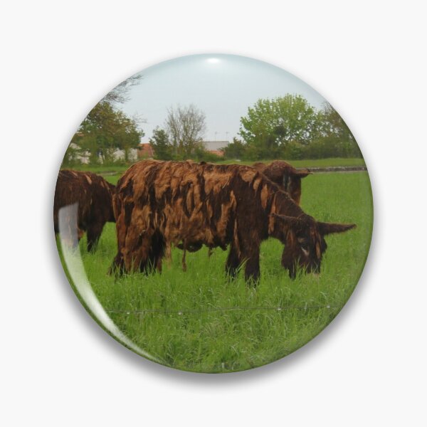 Item preview, Woolly donkeys designed and sold by AHELENE.