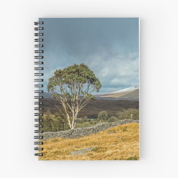 Item preview, Beacons View from Penderyn designed and sold by Cameranick.